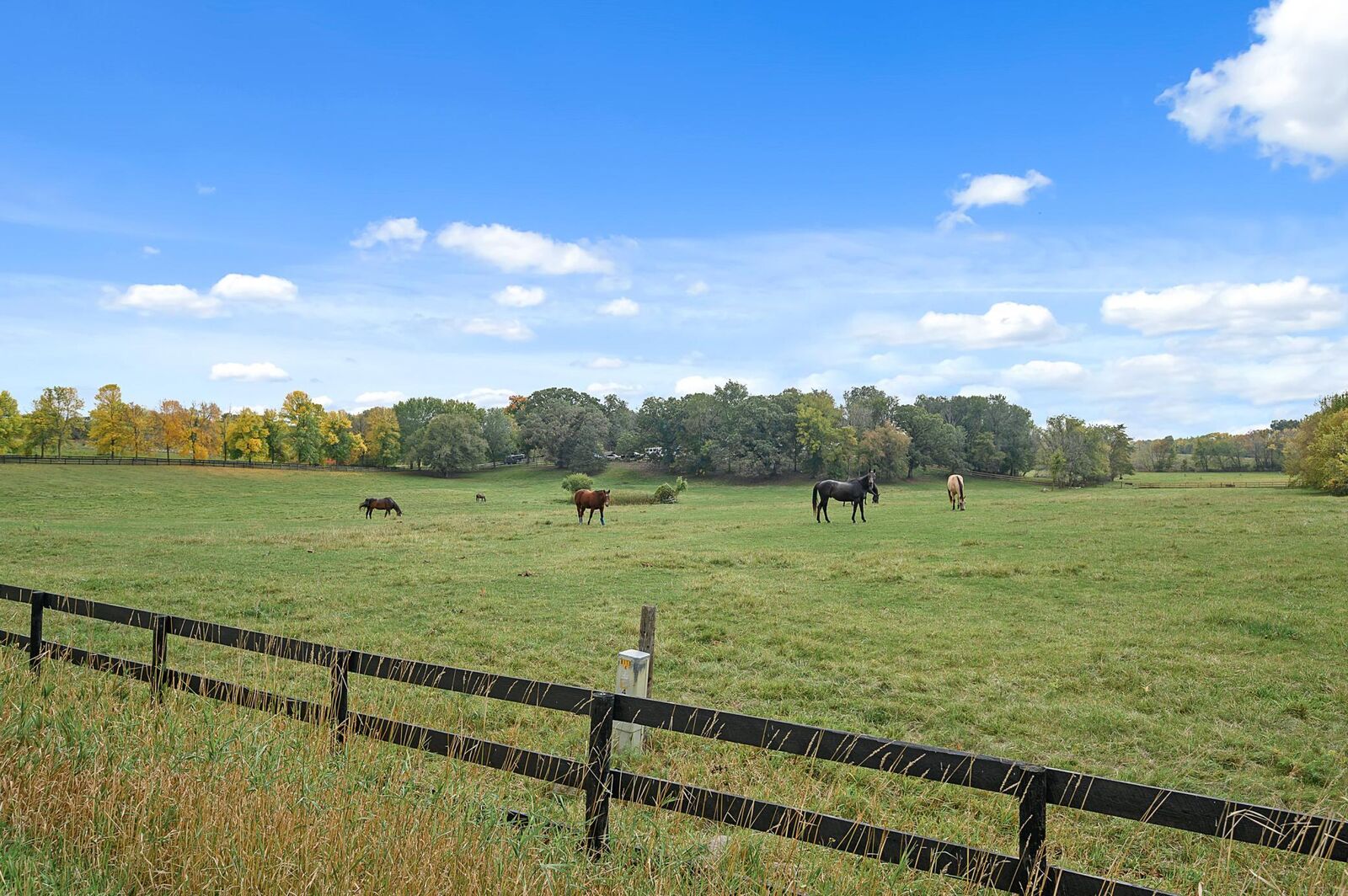 Property Photo:  Tbd 200th Street E  MN 55372 