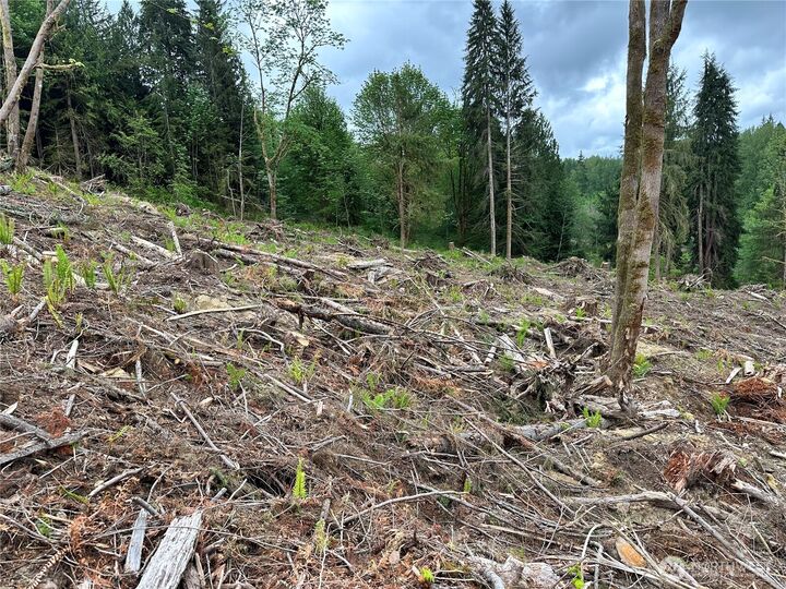Property Photo:  0 S Carpenter Road  WA 98280 