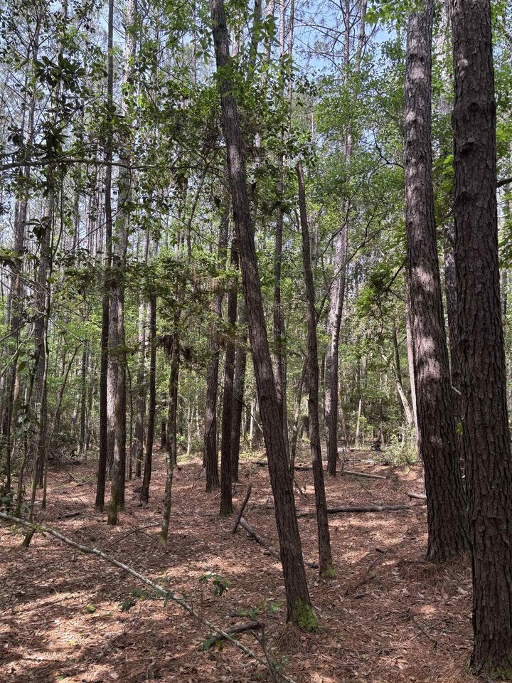 Property Photo:  Tbd Old White Oak Rd  TX 77374 
