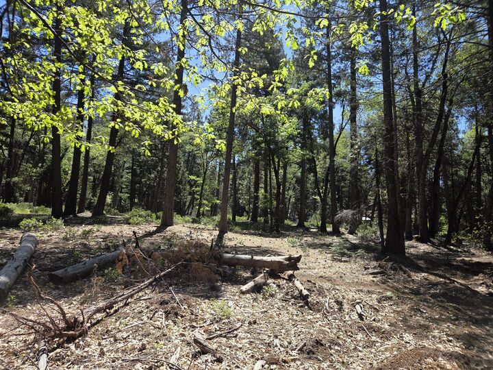 Property Photo:  Lot 4 Ritts Mill Road  CA 96088 