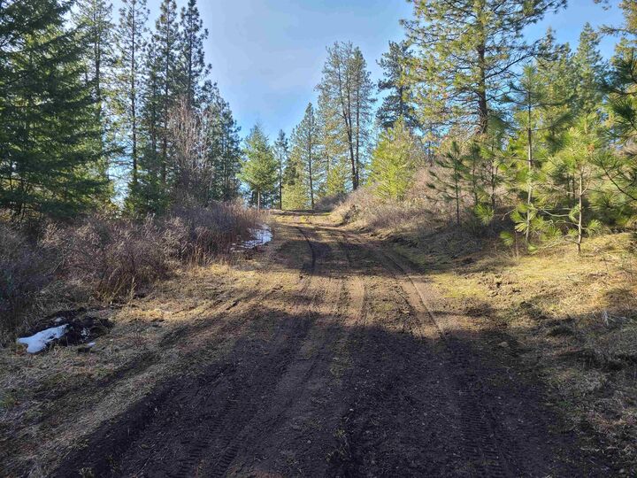 Property Photo:  2584-F Bridgeman Rettinger Rd  WA 99141 