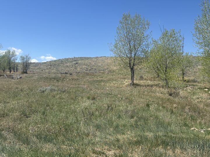 Property Photo:  110 Watkins Street  WY 82834 