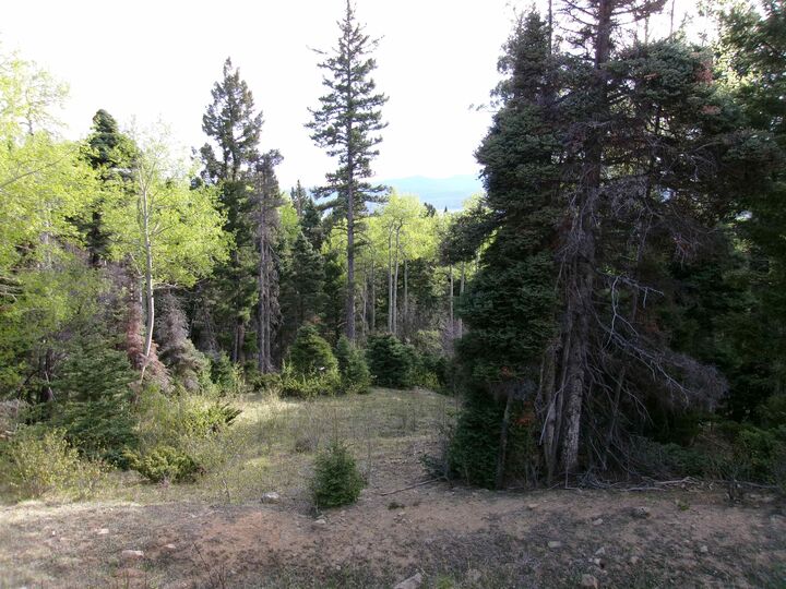 Property Photo: 60 Brazos Dr NM 87710