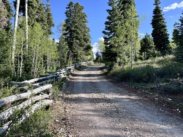 Property Photo:  40 Acres Near Kolob Reservoir  UT 84767 
