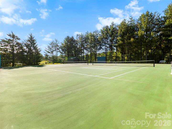 Property Photo:  2303 Deermouse Way  NC 28792 