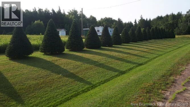 Property Photo:  Lot Angel Road  NB E4X 0B3 