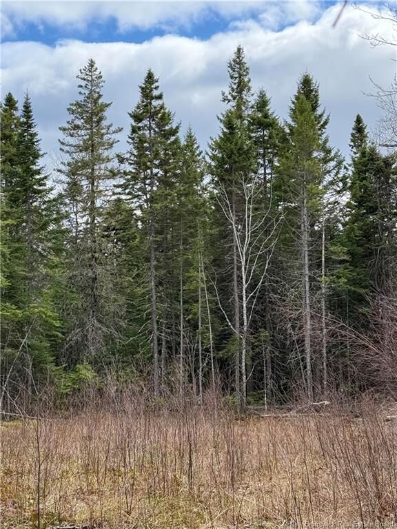Property Photo:  Land Route 515  NB E4T 3T5 
