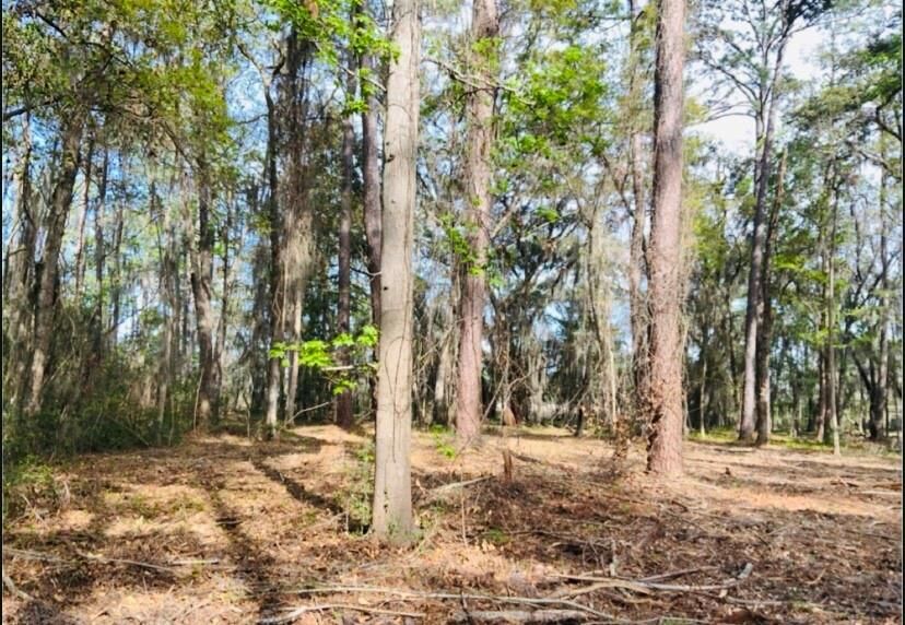 Property Photo:  0000 W Black Island Road SE  GA 31305 