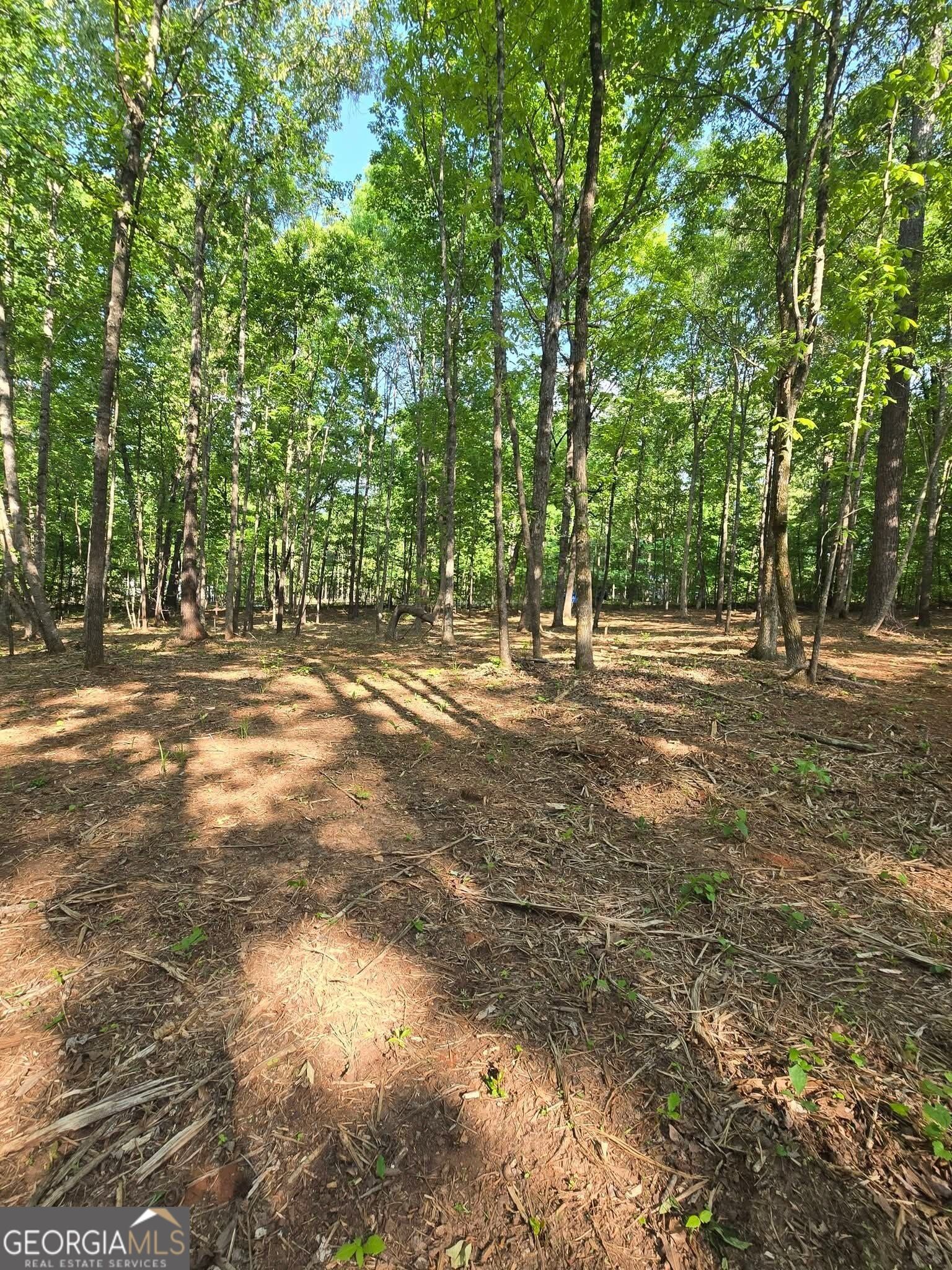 Property Photo:  135 Lakeshore Drive  GA 31024 