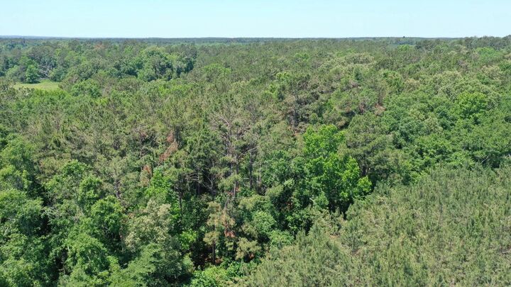 Property Photo:  0000 US Hwy 59  TX 75643 