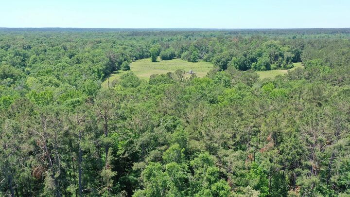 Property Photo:  0001 US Hwy 59  TX 75643 