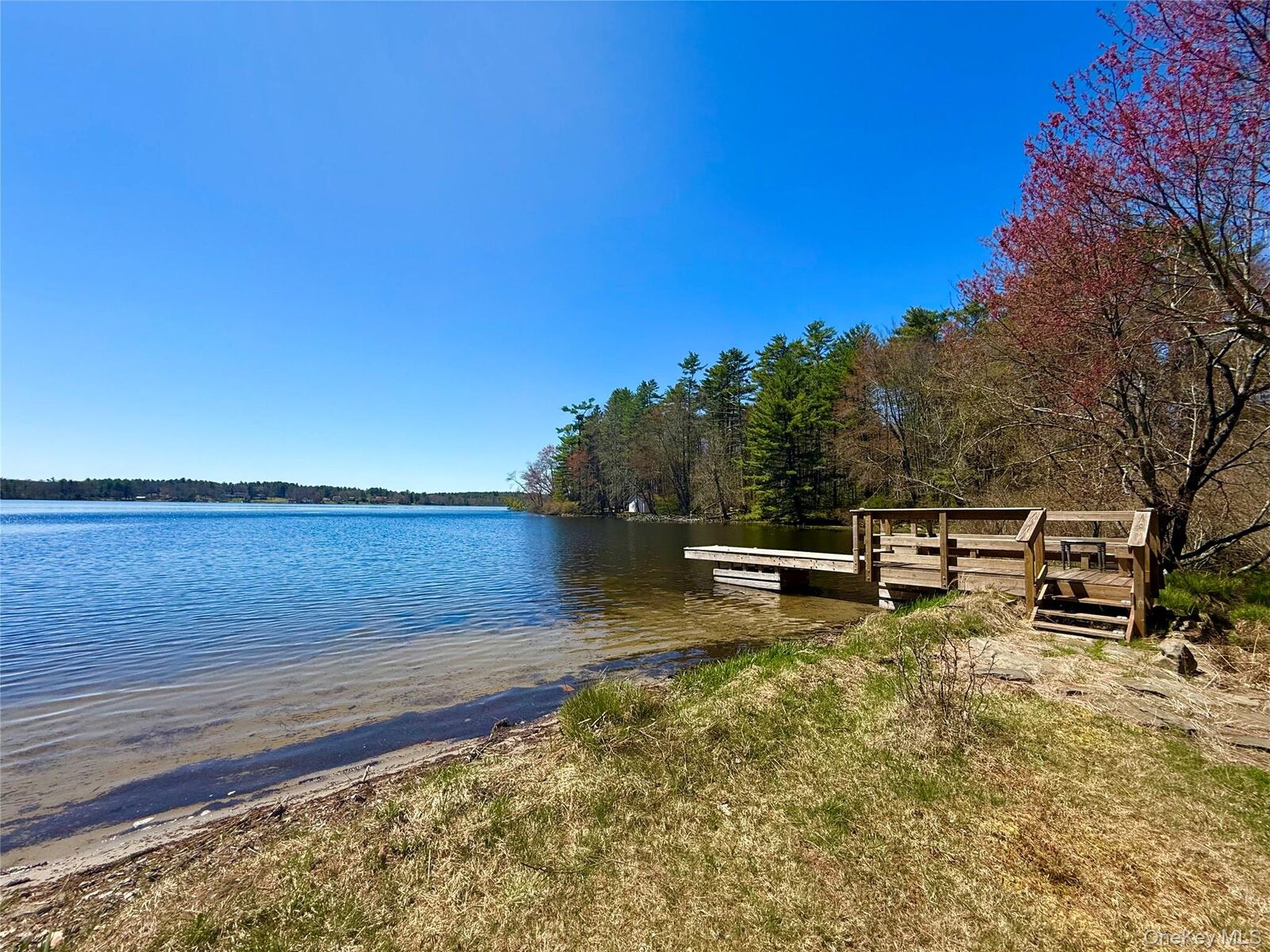 Property Photo:  236 Lakeview Drive Road  NY 12743 