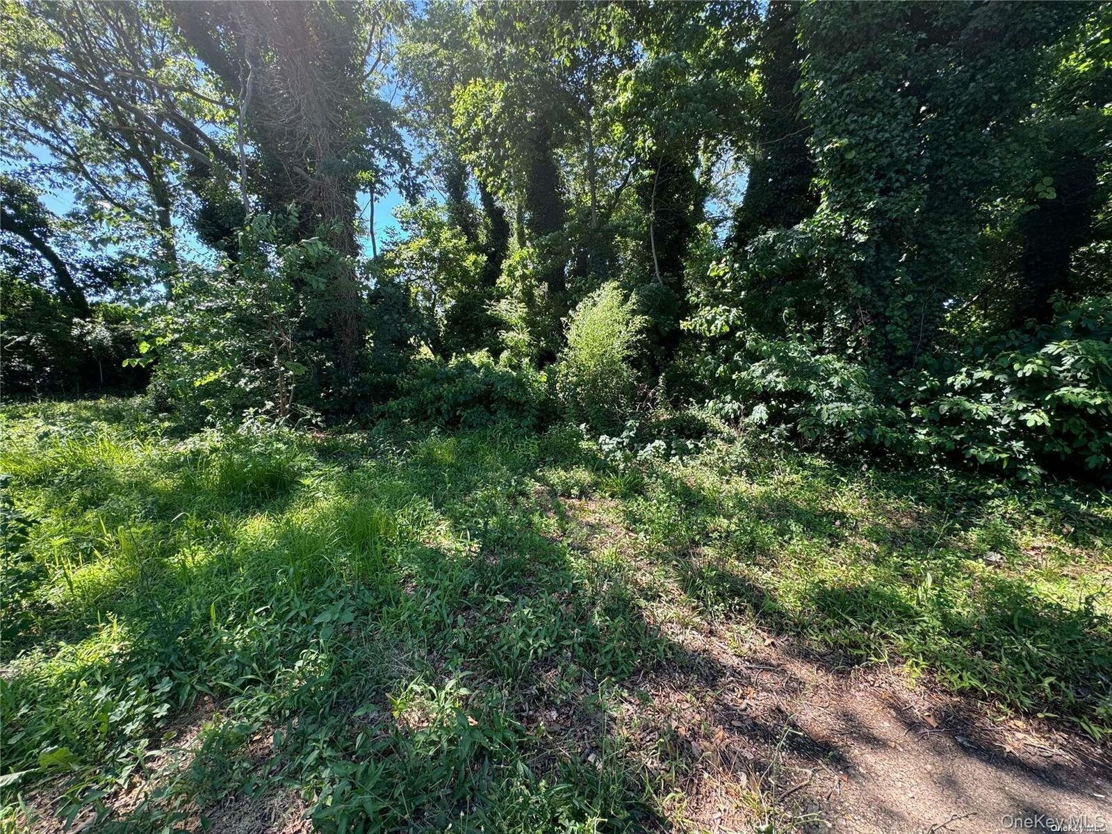 Property Photo:  215 Cortland Street  NY 11726 