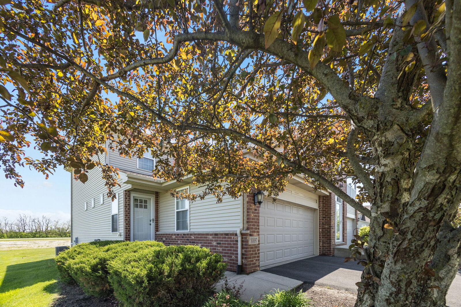 Property Photo:  30097 Autumn Drive 116A  IL 60401 