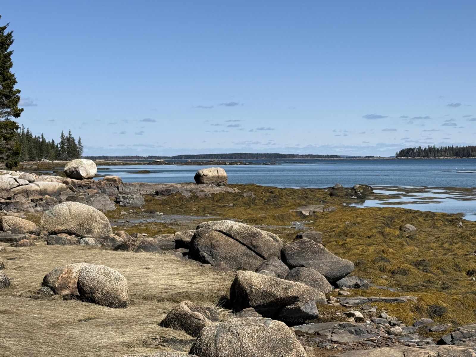 Property Photo:  18 Jericho Bay Road  ME 04685 