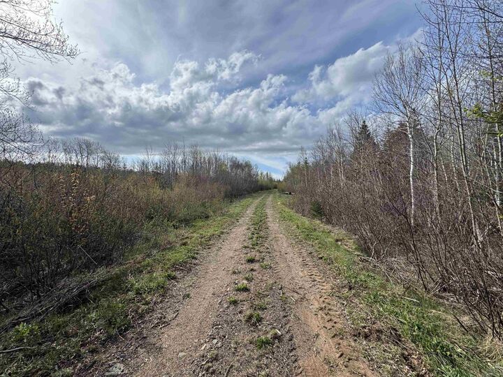 Property Photo:  Shore Road W  NS B0S 1A0 