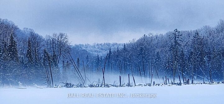 Property Photo: 1691F Buckshot Lake Road ON K0H 1K0