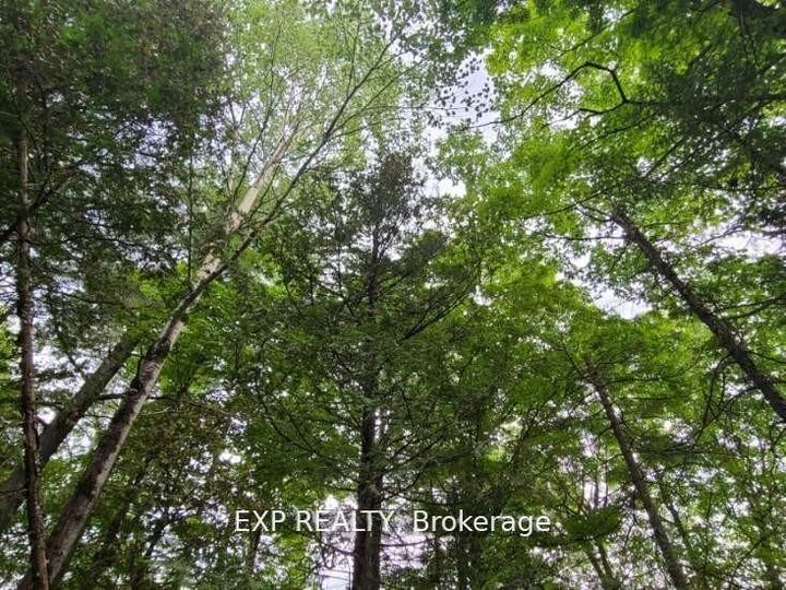 Property Photo:  20 Peplinskie Homestead Road  ON K0J 1B0 