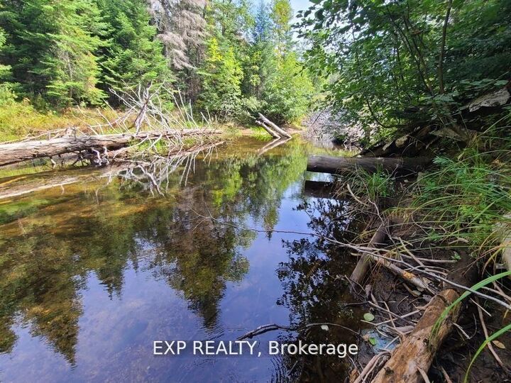 Property Photo:  Pt Lt 8 Old Barry's Bay Road  ON K0J 1L0 