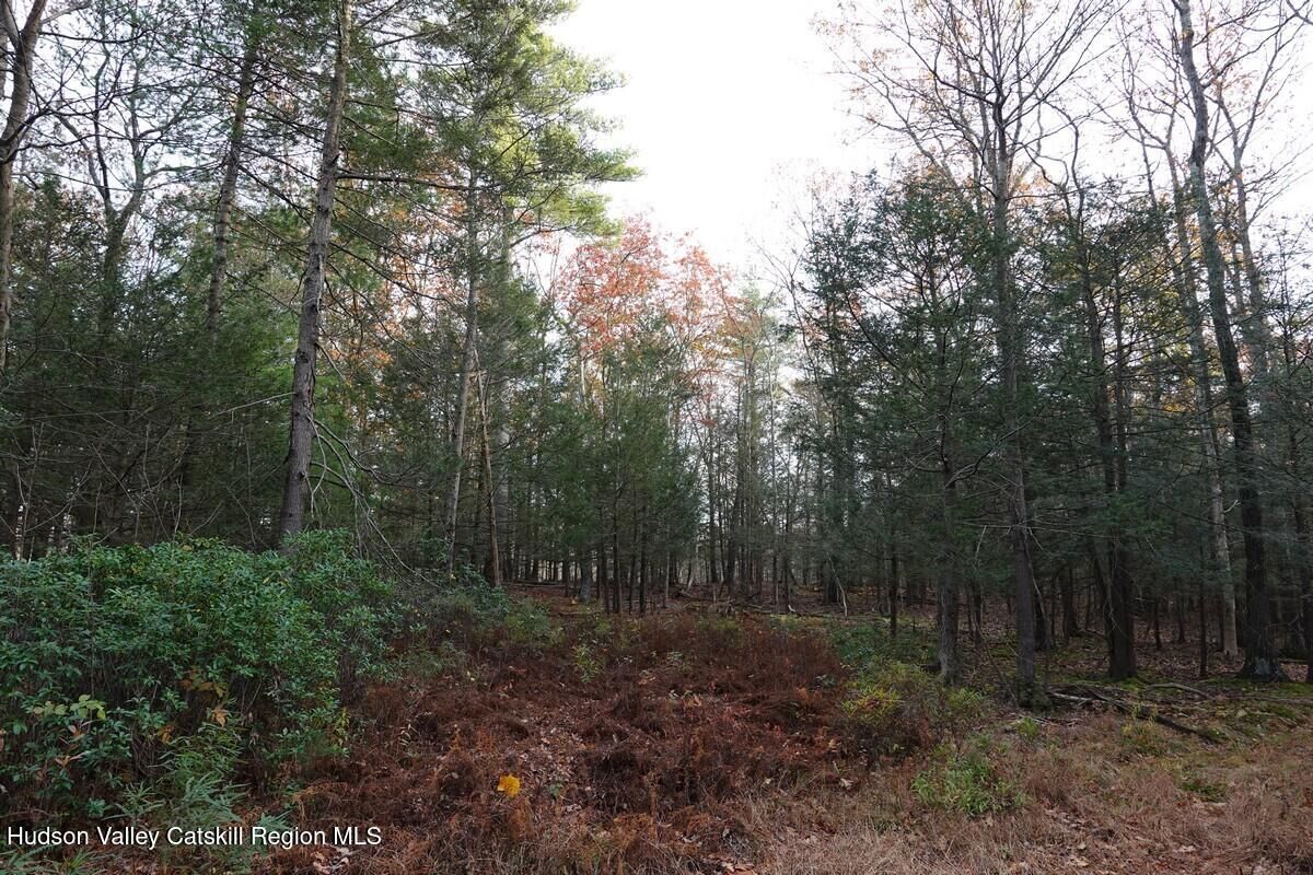 Property Photo:  736 Manorville  NY 12477 