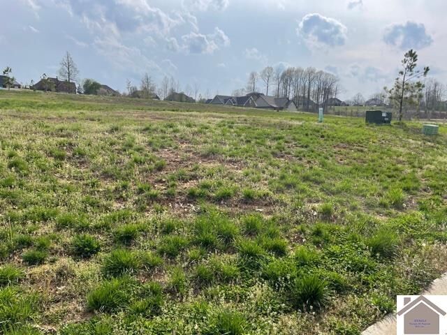 Property Photo: 175 Low Ridge Lane KY 42003