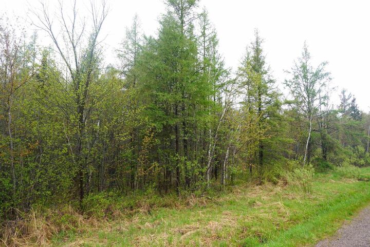 Property Photo:  20 Acres S County Road X  WI 54435 