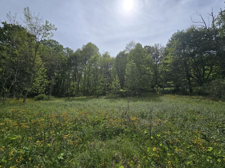 Property Photo:  Cemetery Road  WV 25958 