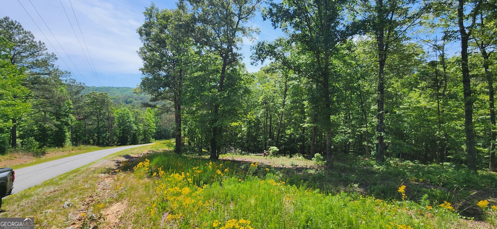 Property Photo:  Lt 90 Barrel Knot Court  GA 30536 