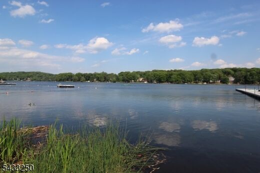 Property Photo:  64 W Lake Shore Dr  NJ 07866 
