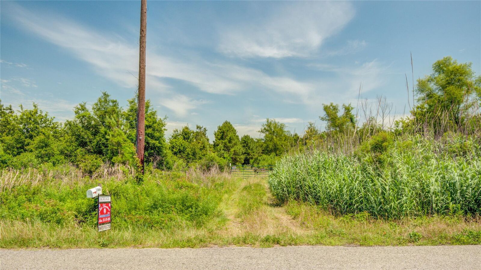 Property Photo:  7443 County Road 302  TX 77363 