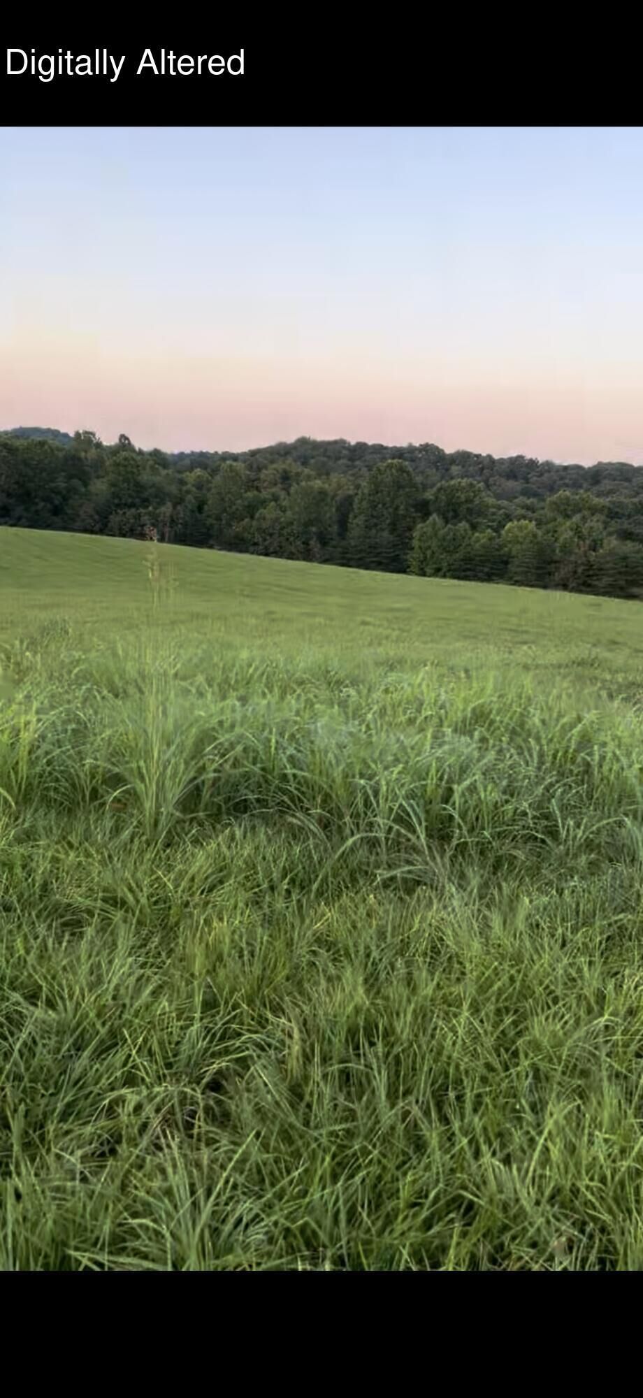 Property Photo:  23.5ac Beech Grove Road  KY 42544 