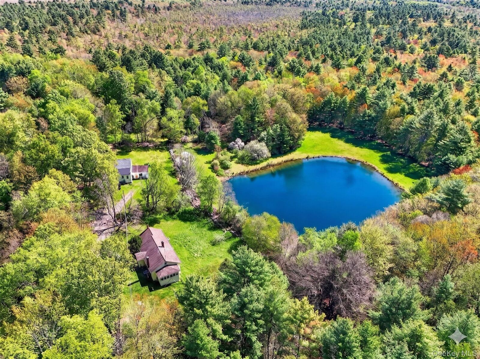 Property Photo:  Spook Hole Road  NY 12428 