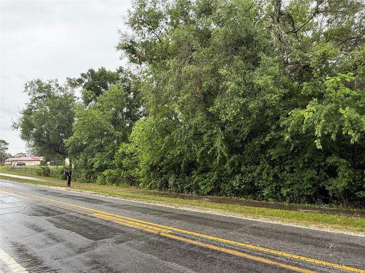 Property Photo:  34184 Ridge Manor Blvd  FL 33523 