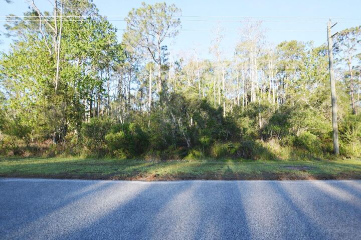 Property Photo:  Xxxx Pine Lakes Parkway  FL 32164 
