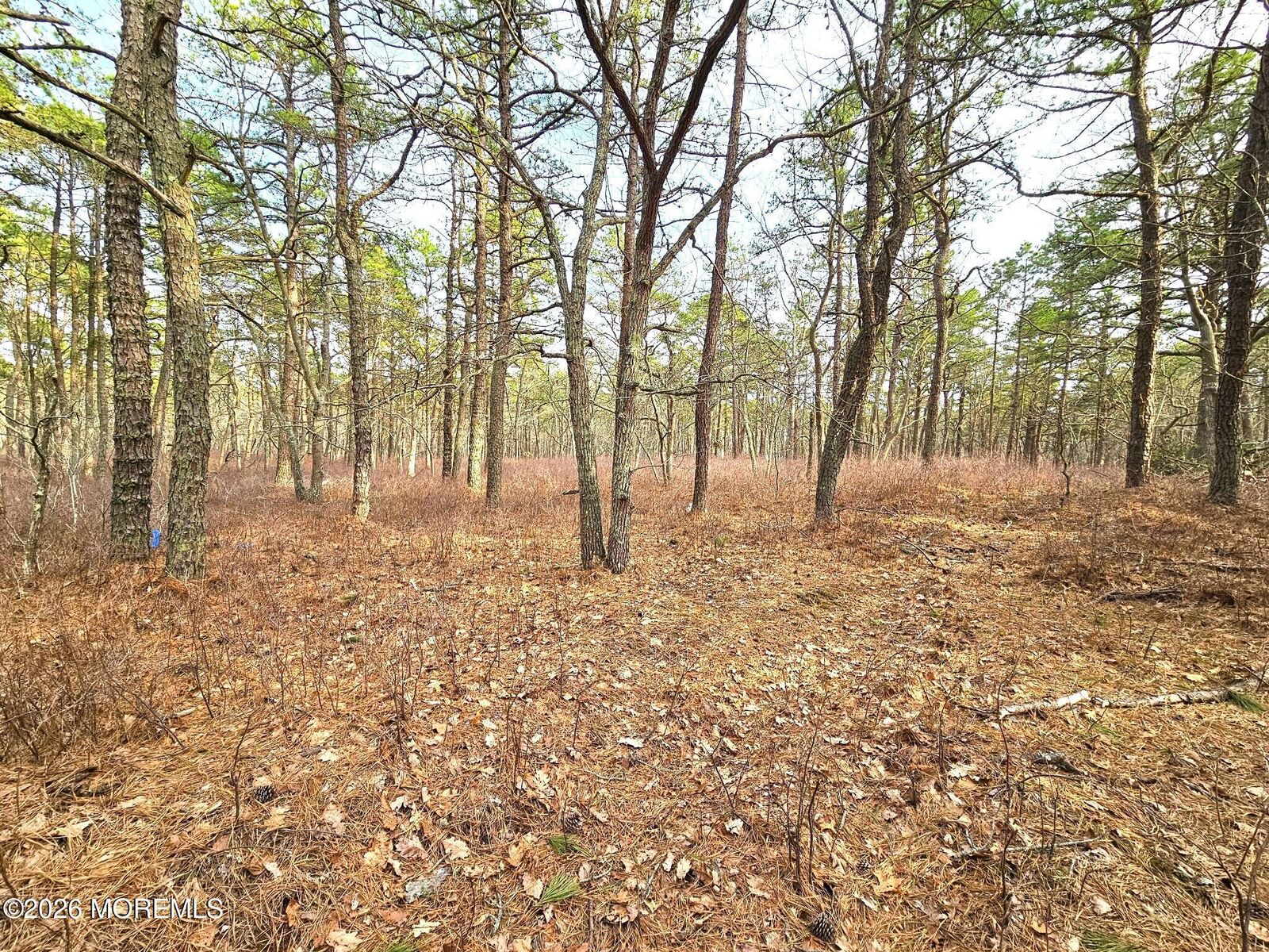 Property Photo: 17 Pinewood Drive NJ 08087