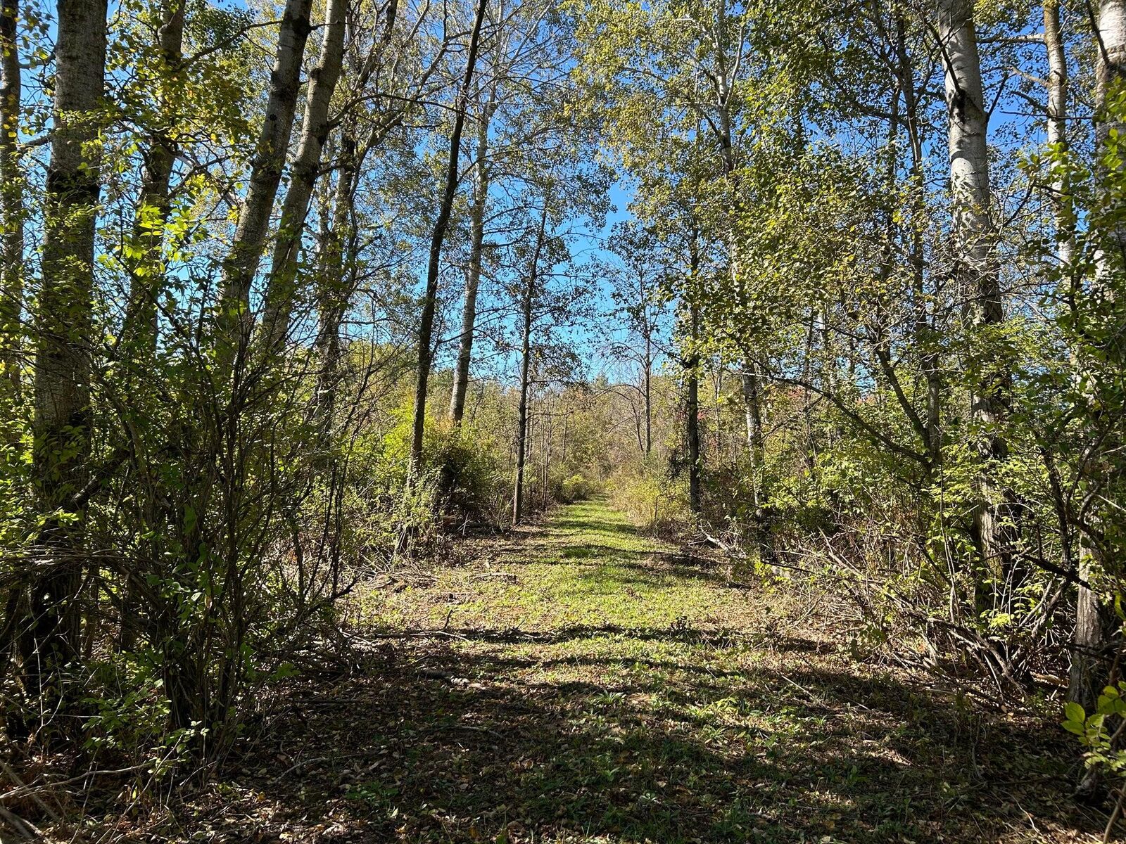 Property Photo:  V/L 30th Avenue  MI 49340 