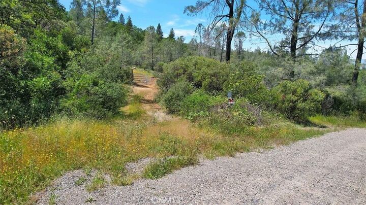 Property Photo:  12934 Wild Acres Way  CA 95962 