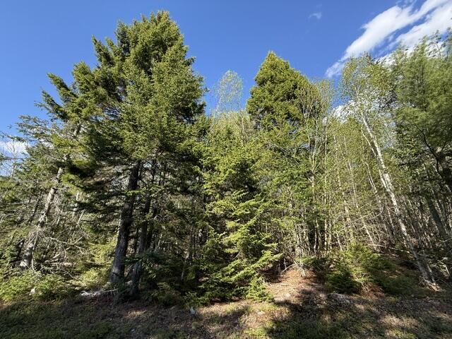 Property Photo:  Lot 13 Pidgeon Point Road  ME 04691 