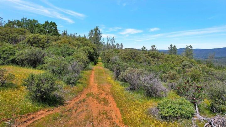 Property Photo:  12934 Wild Acres Way  CA 95962 