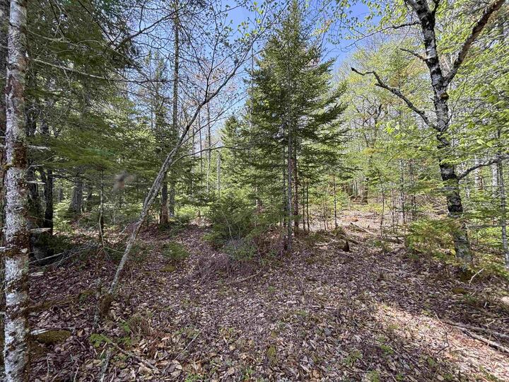 Property Photo:  Lot 5-23 Highway 325  NS B4V 8H3 