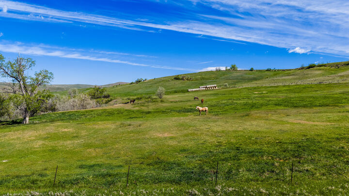 Property Photo:  