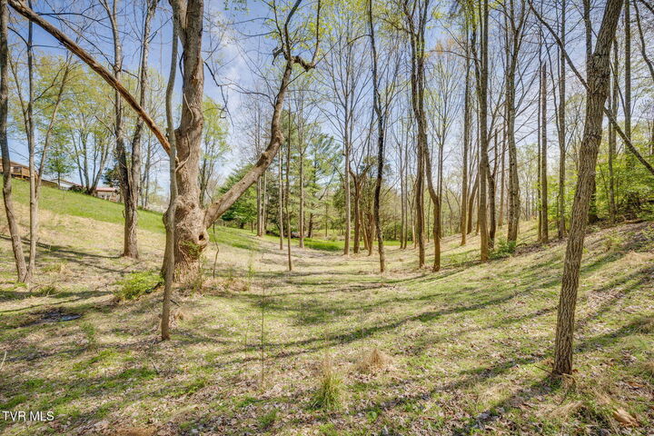 Property Photo:  Tbd Chaucer Court  TN 37615 