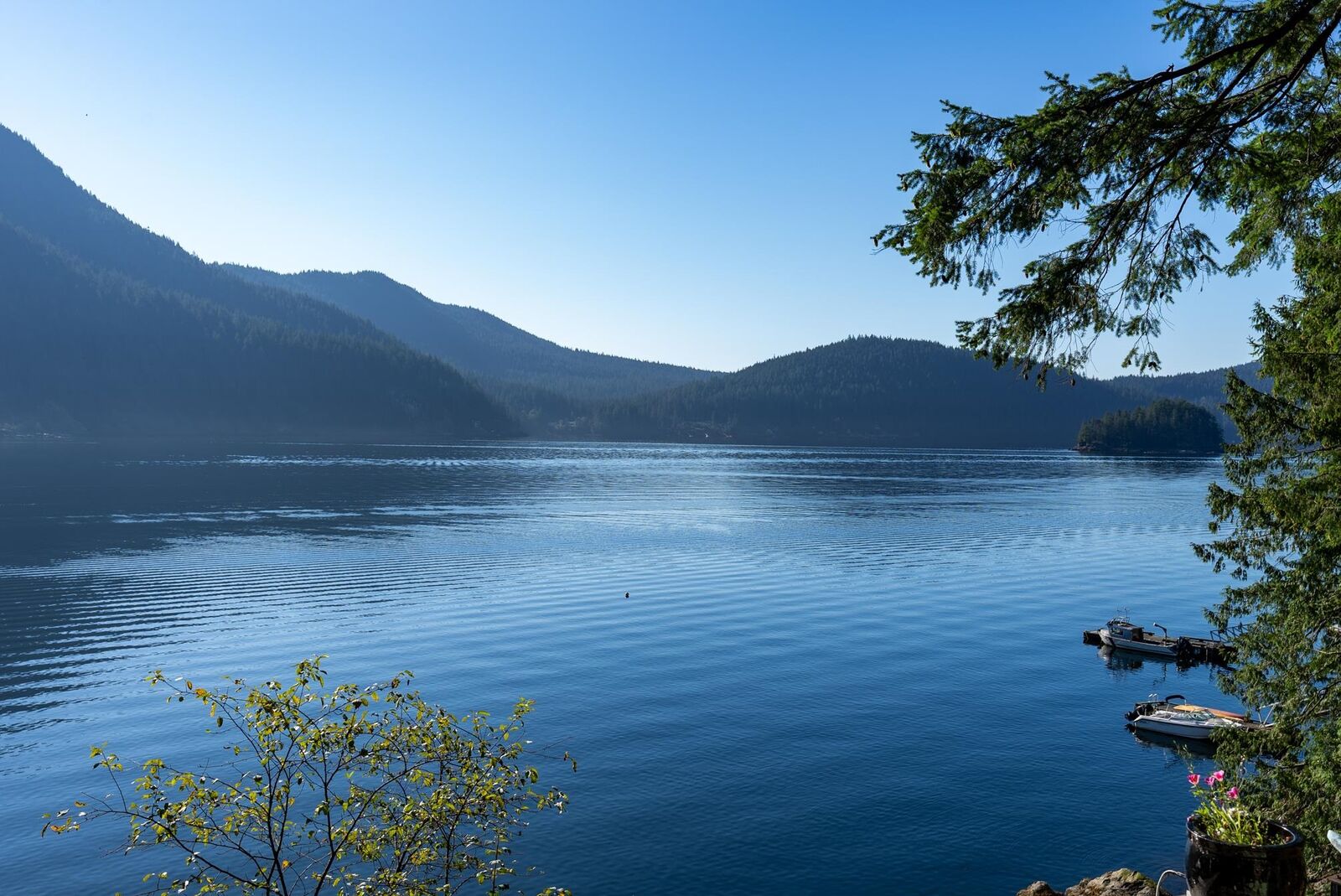 Property Photo:  316 Sasamat Lane  BC V7G 2S4 