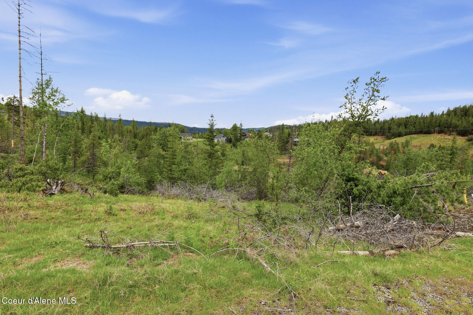 Property Photo:  120 Blazing Saddle Ct  ID 83850 