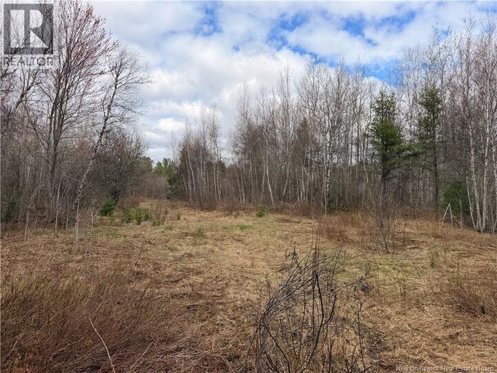 Property Photo:  Lots McLaughlin Road  NB E4W 3S6 
