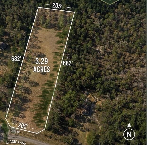 Property Photo:  278 Reggie Lane  TX 75862 