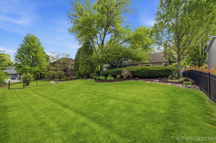 Property Photo:  530 Olesen Drive  IL 60540 