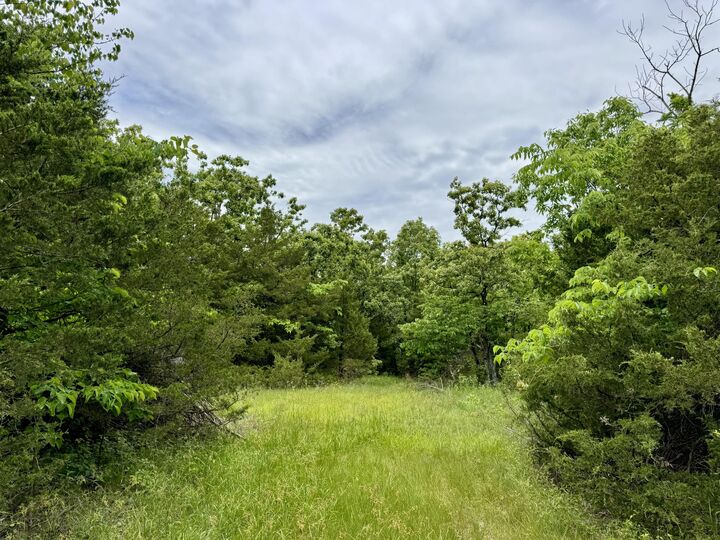 Property Photo: 000 Cottengim Road MO 65702