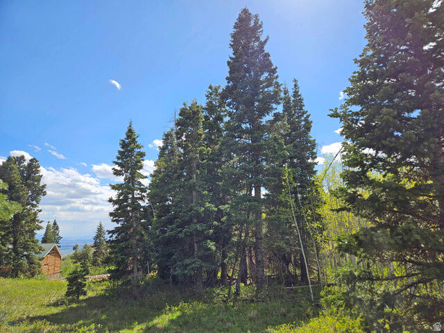 Property Photo:  79 E Thads Peak Dr S J50  UT 84629 