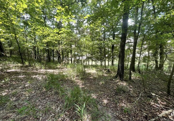 Property Photo:  Lot #36 Saratoga  AR 71901 